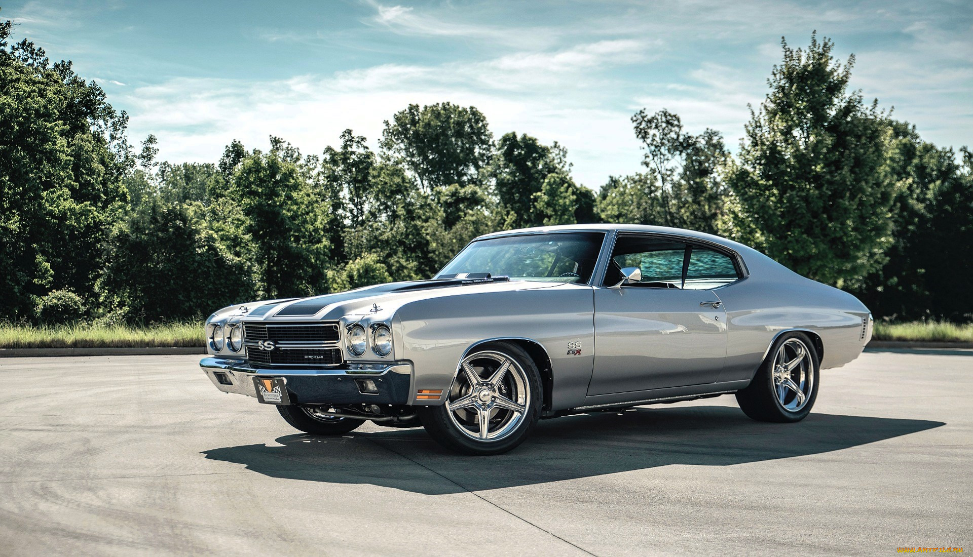 chevrolet chevelle, , chevrolet, , , 